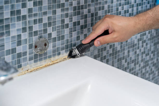 Best Mold Removal Near Me  in Four Corners, MT