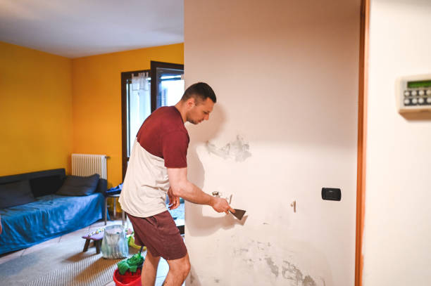 Best Mold Remediation  in Four Corners, MT